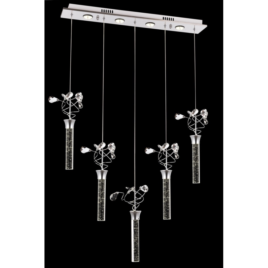 LED Lustr na lanku PIGEON 5xLED/6W/230V 6500K lesklý chrom