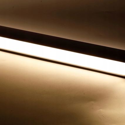 LED Lustr na lanku/přisazený LED/44W/230V 4000K 120 cm černá