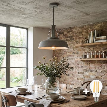 LED Lustr na lanku RYAN 1xE27/60W/230V šedá