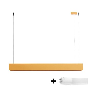 LED Lustr na lanku SPARK 1xG13/8,5W/230V zlatá
