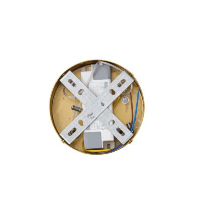 LED Lustr na lanku TREA LED/19W/230V 3000K