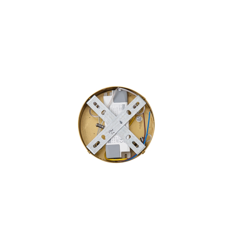 LED Lustr na lanku TREA LED/19W/230V 3000K