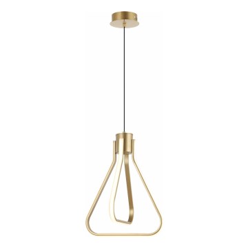 LED Lustr na lanku ZING LED/19W/230V zlatá