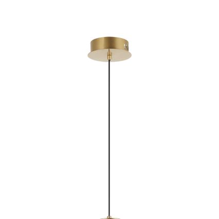 LED Lustr na lanku ZING LED/19W/230V zlatá