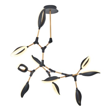 LED Lustr na tyči ASTI 10xLED/7W/230V 3000K černá