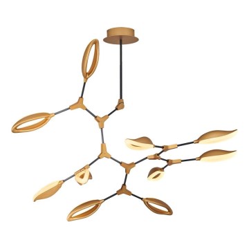 LED Lustr na tyči ASTI 10xLED/7W/230V 3000K zlatá