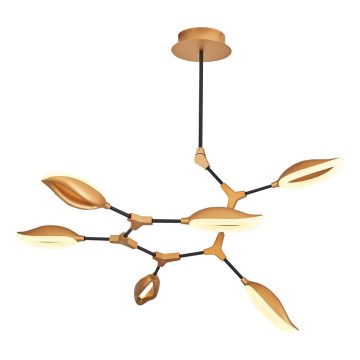 LED Lustr na tyči ASTI 6xLED/7W/230V 3000K zlatá