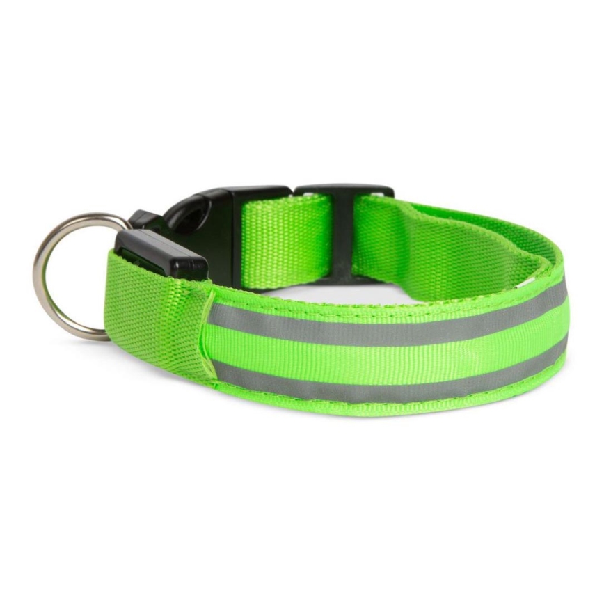 LED Nabíjecí obojek 35-43 cm 1xCR2032/5V/40 mAh zelená