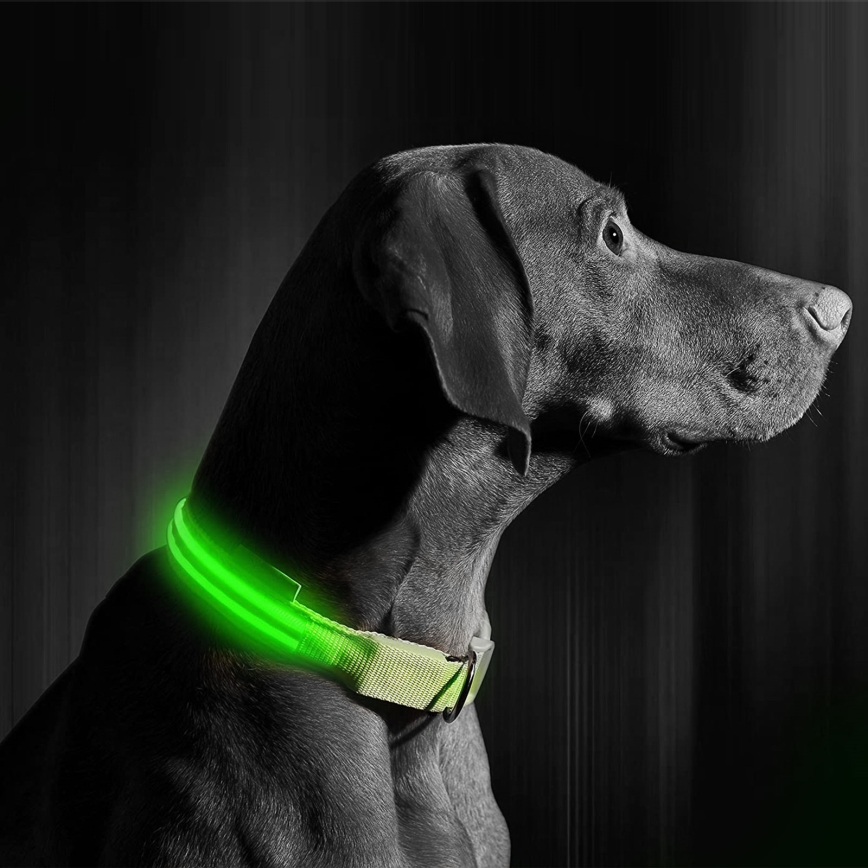 LED Nabíjecí obojek 35-43 cm 1xCR2032/5V/40 mAh zelená
