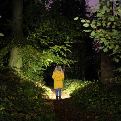 LED Nabíjecí svítilna 2xLED/3W/5V 210 lm 1200 mAh černá