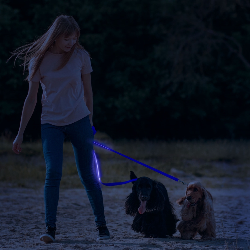 LED Nabíjecí vodítko 120 cm 2xCR2032/5V/40 mAh modrá