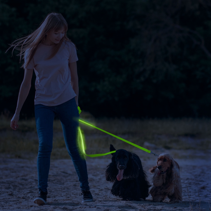 LED Nabíjecí vodítko 120 cm 2xCR2032/5V/40 mAh zelená