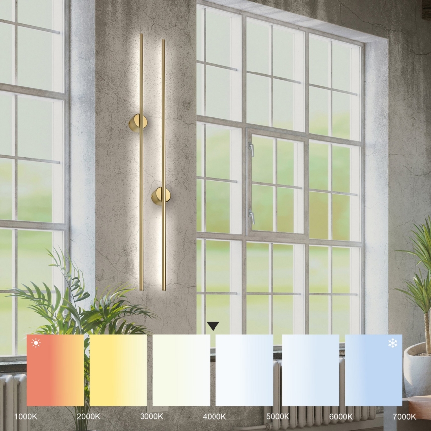 LED Nástěnné svítidlo LANA LED/12W/230V 4000K matná zlatá