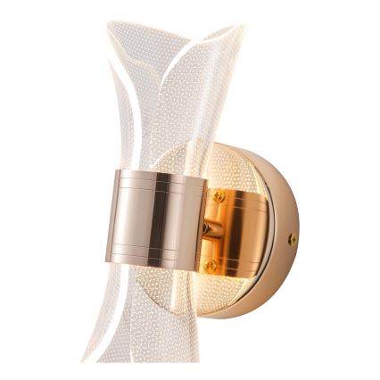LED Nástěnné svítidlo LED/8W/230V 3000K