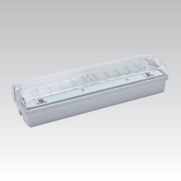LED Nouzové svítidlo CARLA LED/5,51W/230V 1h/900 mAh IP65