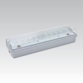 LED Nouzové svítidlo CARLA LED/5,51W/230V dočasné 1h IP65