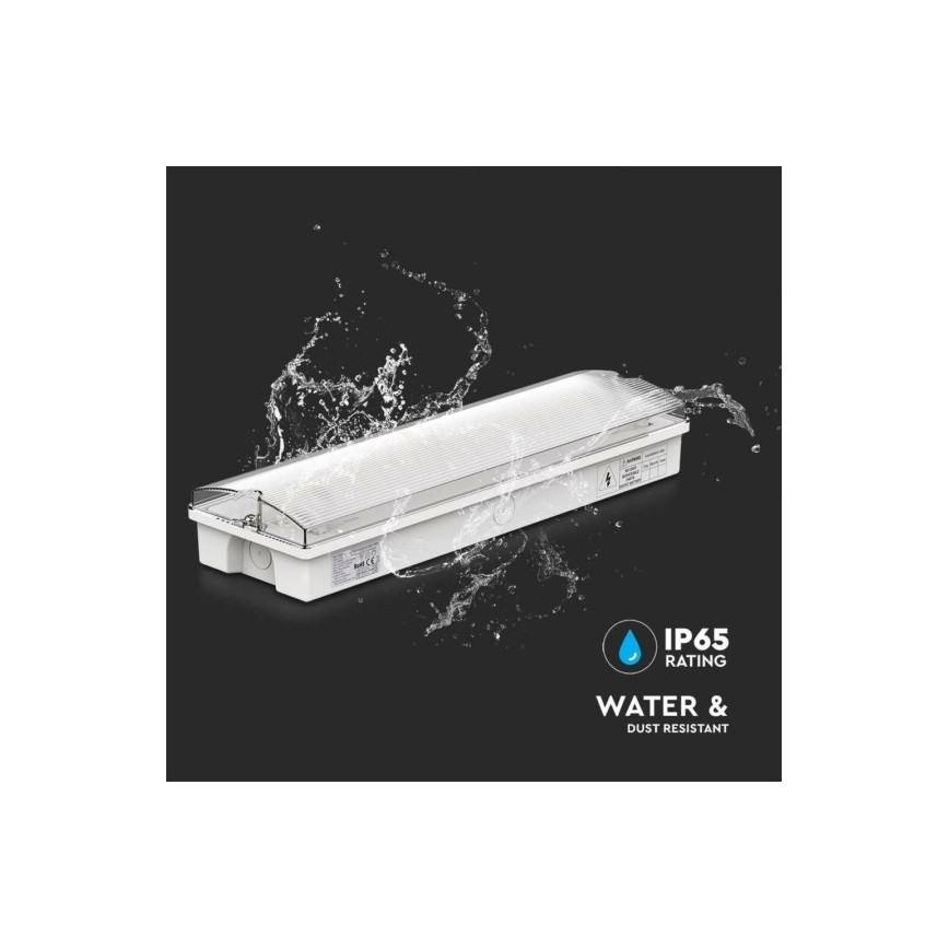 LED Nouzové svítidlo EMERGENCY EXIT LED/3W/230V 6400K IP65