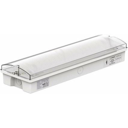 LED Nouzové svítidlo s pravidelným testem funkčnosti EMERGENCY EXIT LED/3W/230V 6400K IP65