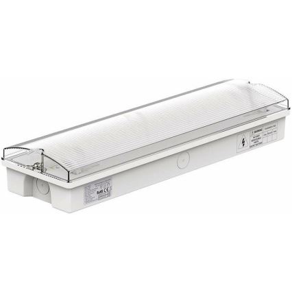 LED Nouzové svítidlo s pravidelným testem funkčnosti EMERGENCY EXIT LED/3W/230V 6400K IP65