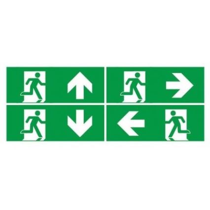 LED Nouzové svítidlo s pravidelným testem funkčnosti EMERGENCY EXIT LED/3W/230V 6400K IP65