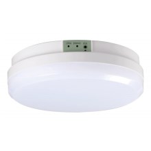 LED Nouzové svítidlo GLORION LED/15W/230V IP65