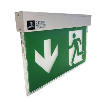 LED Nouzové svítidlo LED/2W/230V 6000K 1500 mAh