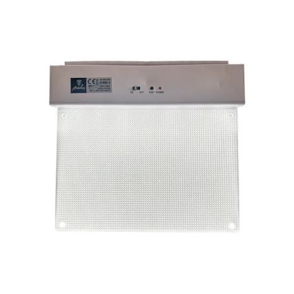 LED Nouzové svítidlo LED/2W/230V 6000K 300 mAh
