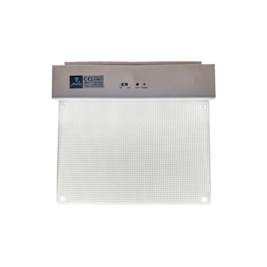 LED Nouzové svítidlo LED/2W/230V 6000K 300 mAh