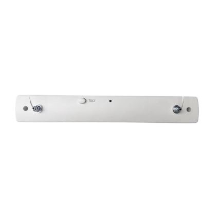 LED Nouzové svítidlo LED/4W/230V 6000K 1000 mAh