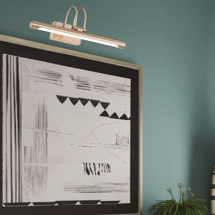 LED Obrazové svítidlo LED/9W/230V 3000K 42 cm matný chrom