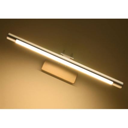 LED Obrazové svítidlo RENOIR LED/8W/230V