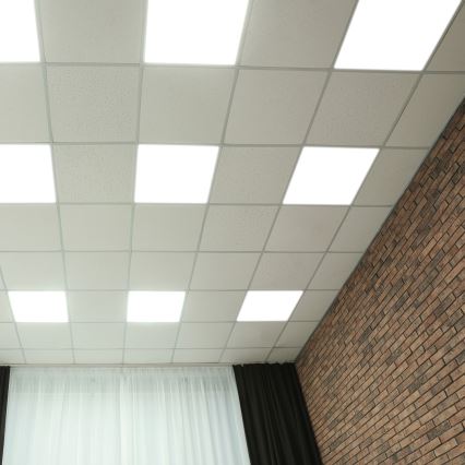 LED Panel LED/48W/230V 4000K 60x60 cm