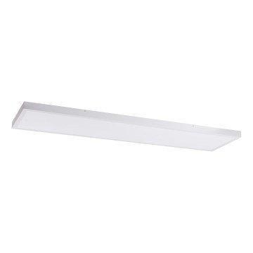 LED Panel LED/60W/230V 4000K 30x120 cm bílá