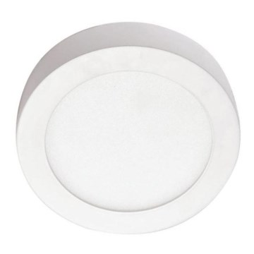 LED Panel přisazený LED/12W/4000K kruh