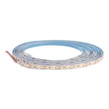 LED Pásek DAISY 5m studená bílá