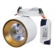 LED Podhledové bodové svítidlo HARON LED/20W/230V bílá