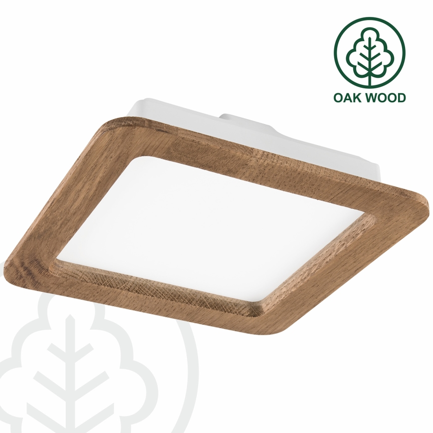 LED Podhledové svítidlo WOODY SPOT LED/17W/230V 3000K ořech 18,5x18,5 cm