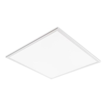 LED Podhledový panel DAVRO LED/40W/230V 4000K 59,5x59,5 cm bílá