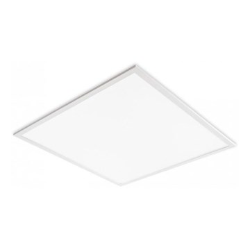 LED Podhledový panel DAVRO LED/40W/230V 4000K 62x62 cm bílá
