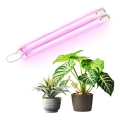 LED Podlinkové svítidlo pro pěstování rostlin GROWLY 2xLED/8,5W/230V bílá