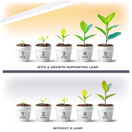 LED Podlinkové svítidlo pro pěstování rostlin GROWLY LED/15W/230W
