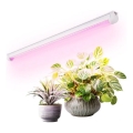 LED Podlinkové svítidlo pro pěstování rostlin GROWLY LED/9W/230V bílá