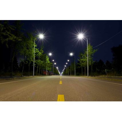 LED Pouliční lampa BOSTON LED/35W/230V IP65