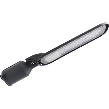 LED Pouliční lampa BRELUXO LED/100W/230V 4000K IP65