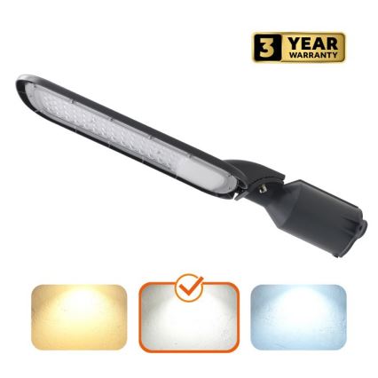 LED Pouliční lampa BRELUXO LED/100W/230V 4000K IP65