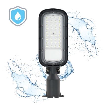 LED Pouliční lampa BRELUXO LED/50W/230V 4000K IP65