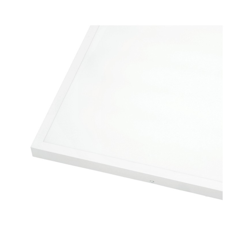 LED Přisazený panel BRISBANE LED/36W/230V 4000K 59,5x59,5 cm bílá