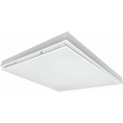 LED Přisazený panel ILLY LED/42W/230V