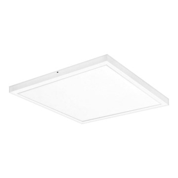 LED Přisazený panel OREGA LED/40W/230V 4000K