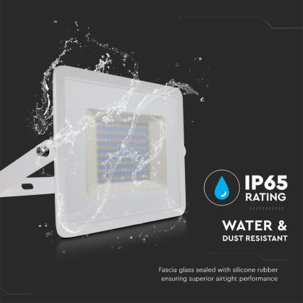 LED Reflektor LED/100W/230V 6500K IP65 bílá